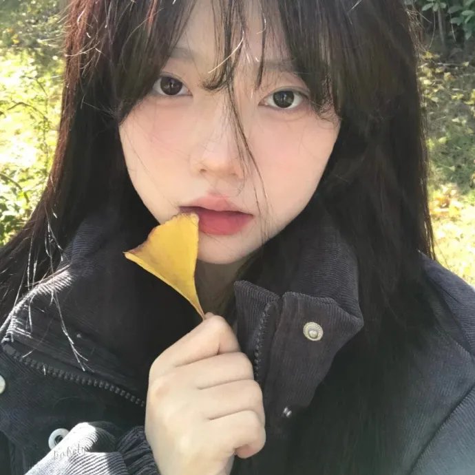 寒鸦情深